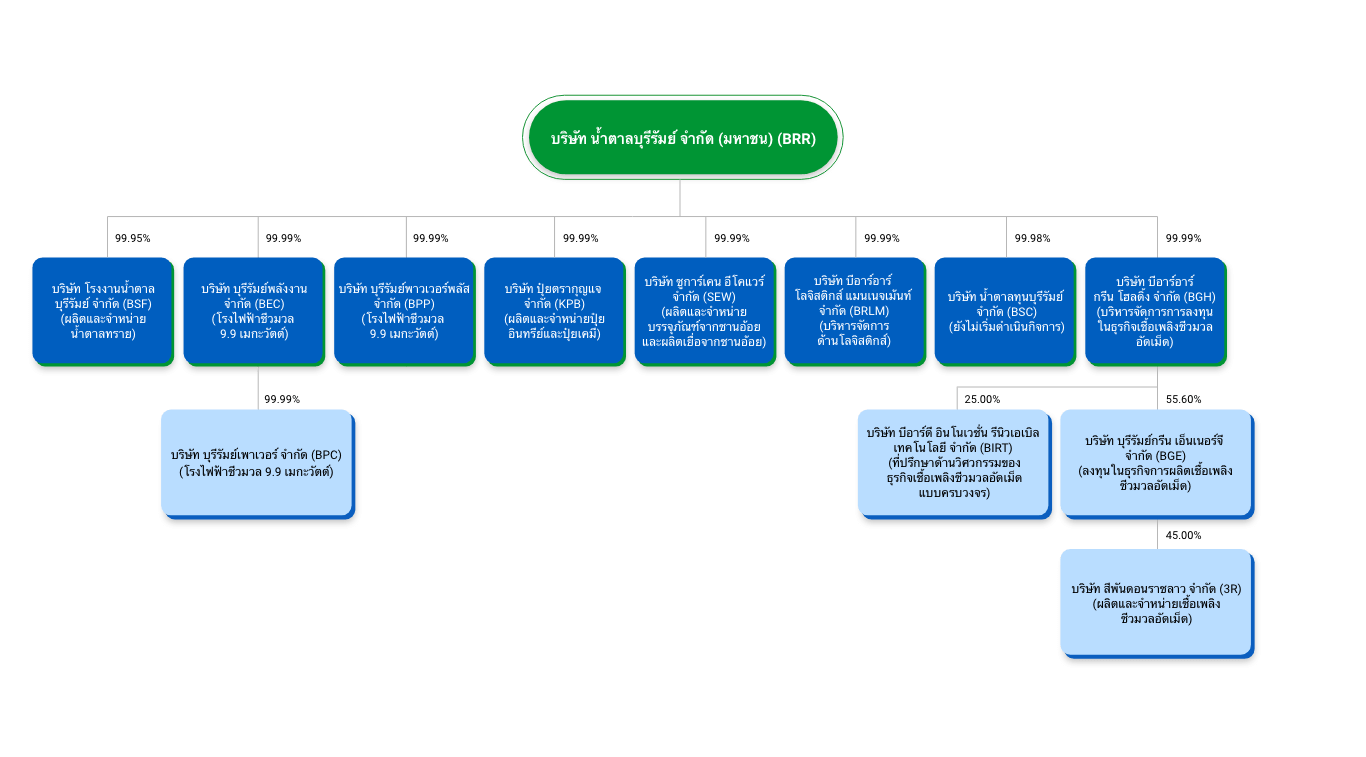 Subsidiary Structure