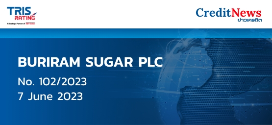 Credit Rating Analysis (TRIS)